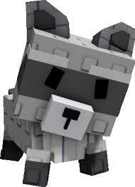 RACOON for SALE $14.99
